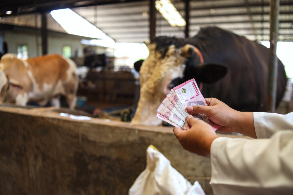 Recuperação de Crédito Tributário para Laticínios